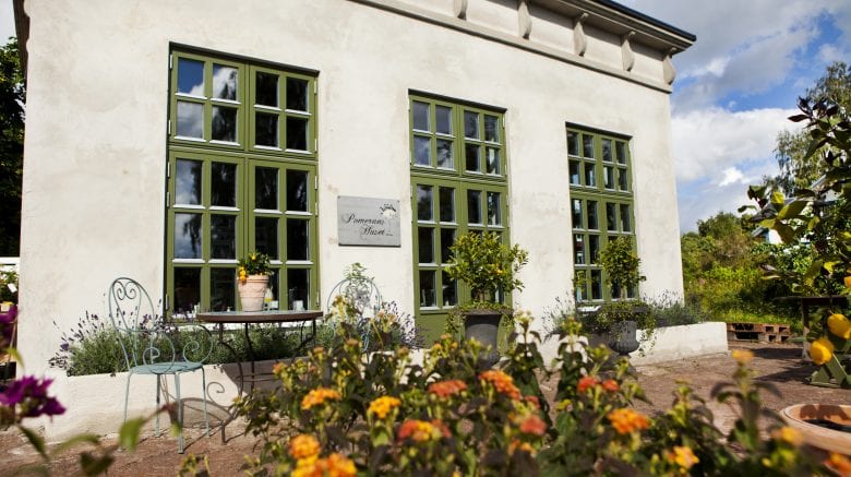 SP fönster